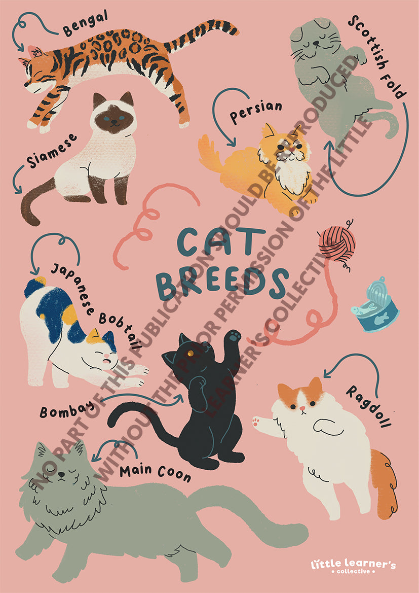 Pets Series: Cat Breeds Nursery Poster