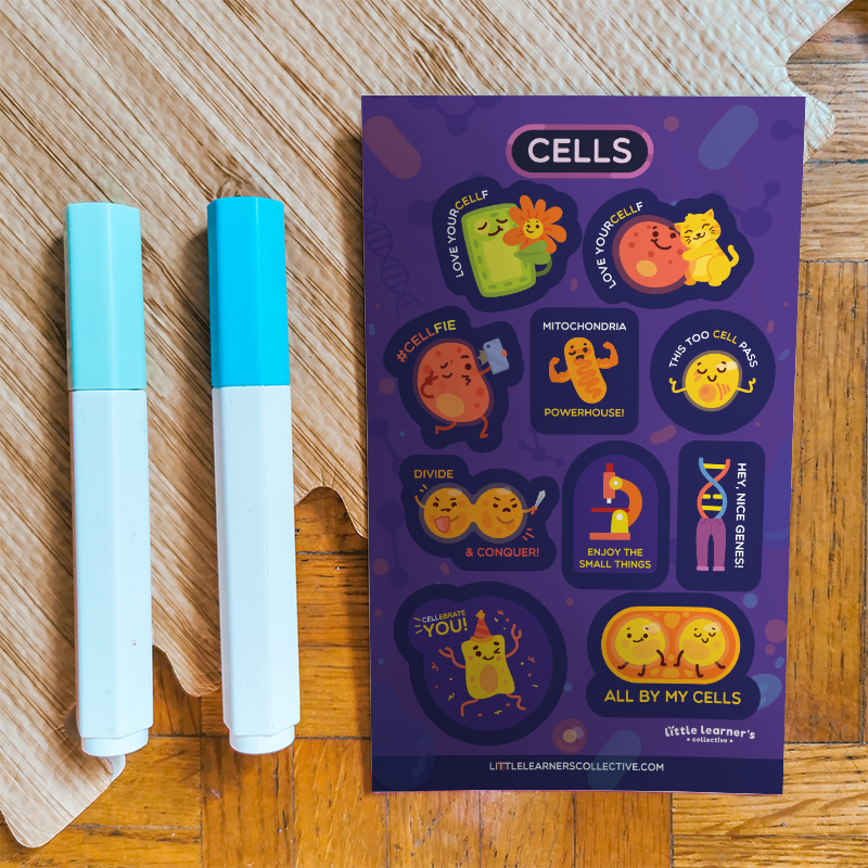 Cells Sticker Sheet