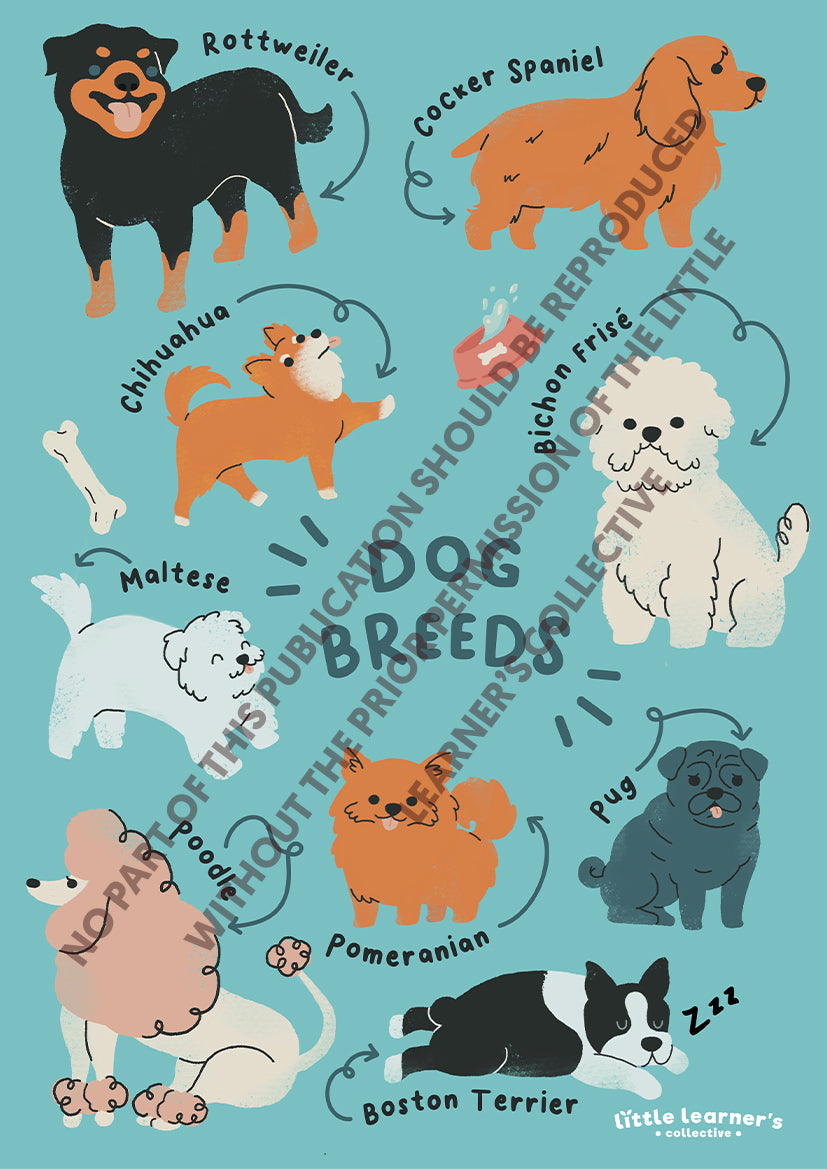 Pets Series: Dog Breeds Nursery Poster