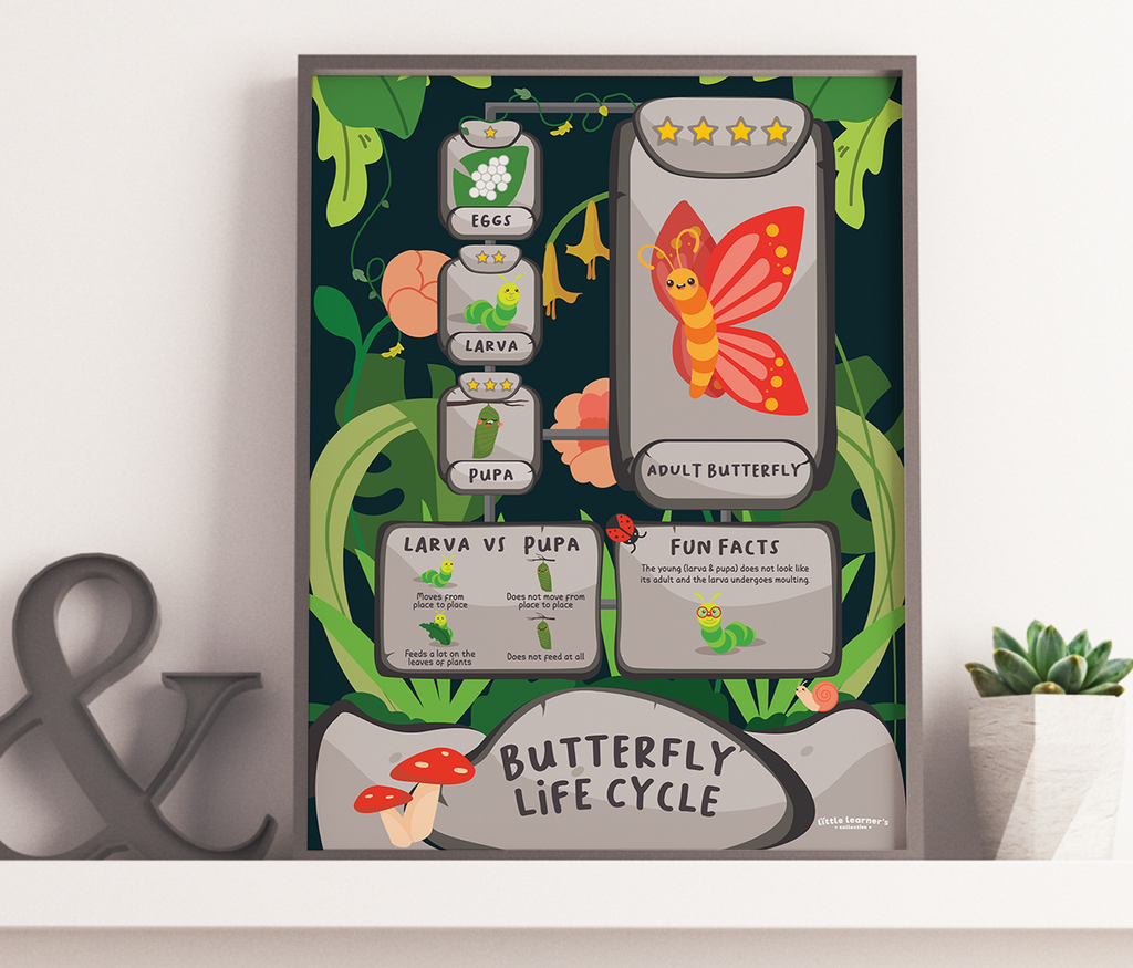 Lifecycle of a Butterfly: It’s Level Up Time!