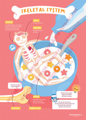Skeletal System: Cereal Bathtime