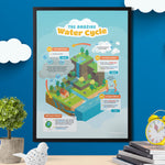 Water Cycle: From Top to Bottom