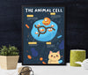 Animal Cell: A Closer Look