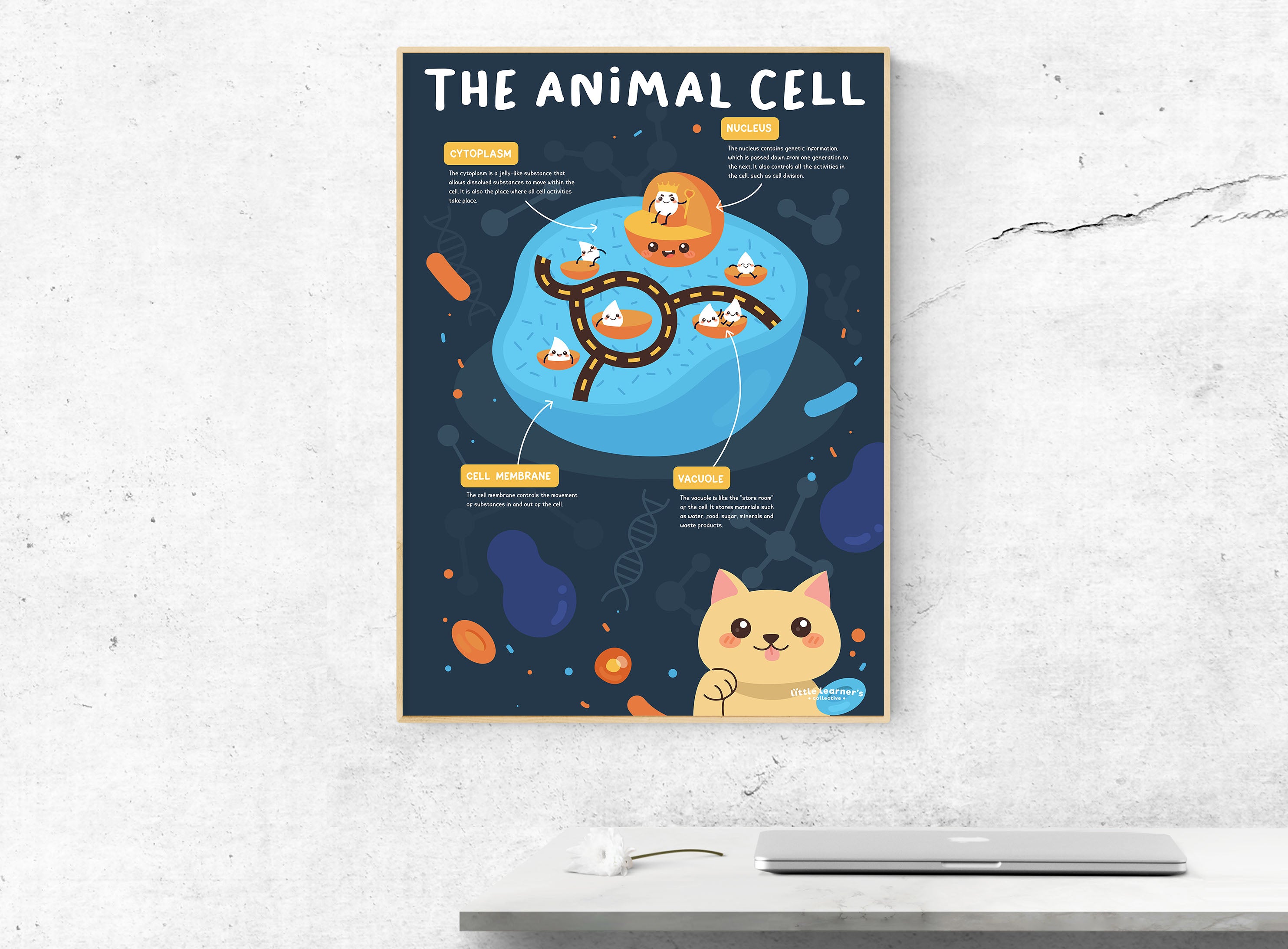 Animal Cell: A Closer Look